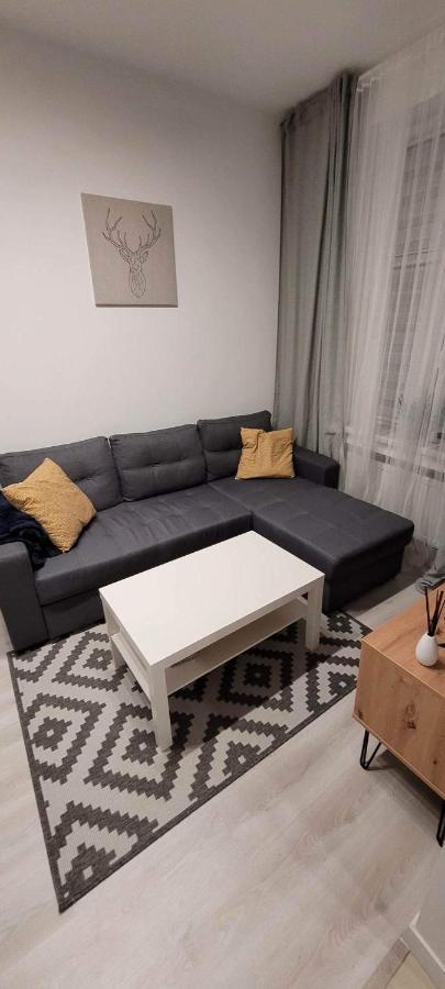 Apartament Na Kochanowskiego Торунь Екстер'єр фото