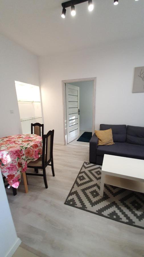 Apartament Na Kochanowskiego Торунь Екстер'єр фото